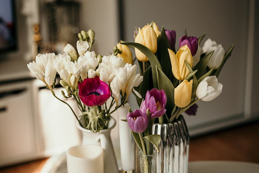 flowers in two vases inside room, plant, flower bouquet, flower arrangement