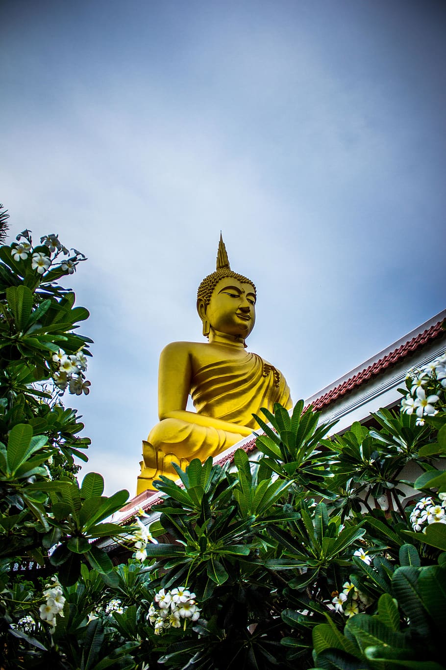 Gautama Buddha Statue Near Green Leaves, art, asia, Asian, background, HD wallpaper