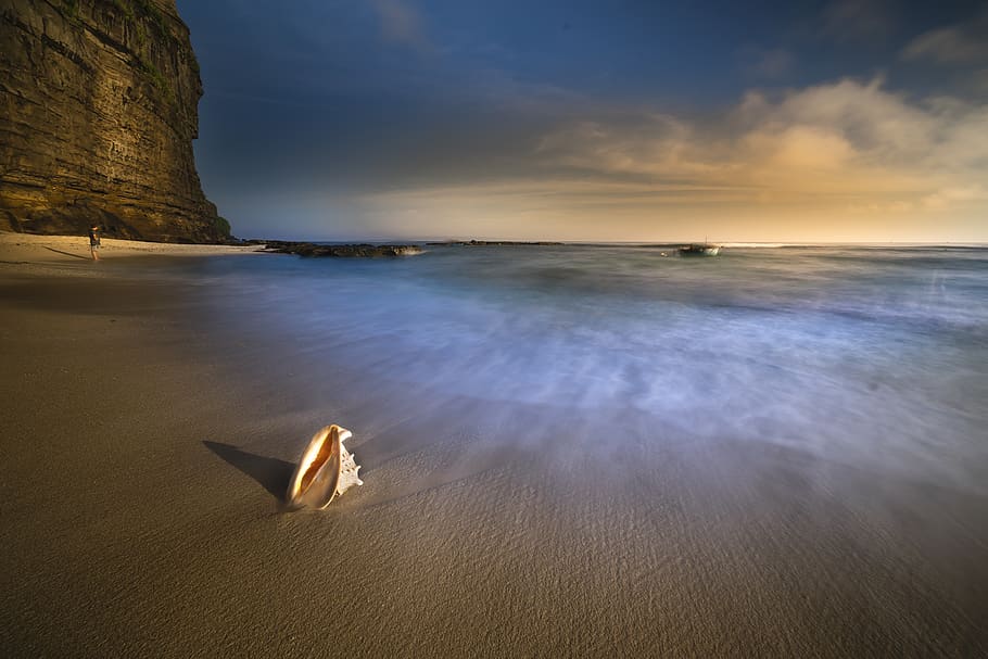 Conch Shell on Seashore, backlit, beach, clouds, dawn, dusk, evening HD wallpaper
