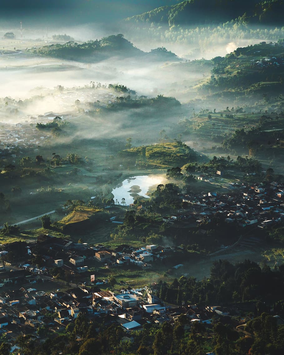 bird's eye view of village, lake, tree, mist, misty, fog, foggy HD wallpaper