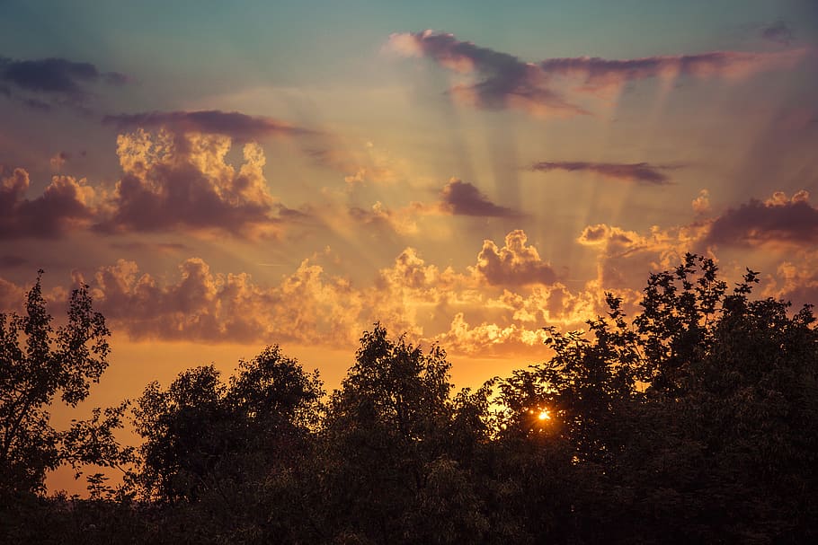 sunrise, the sky, clouds, nature, in the morning, summer, orange HD wallpaper