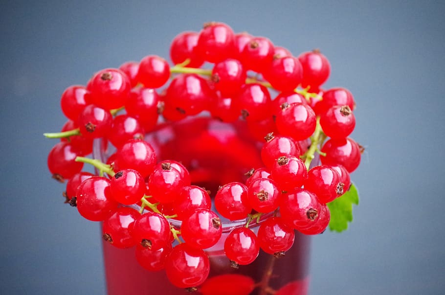 Red Berries Placed on Glass Cup, berry, bright, bunch, close-up HD wallpaper