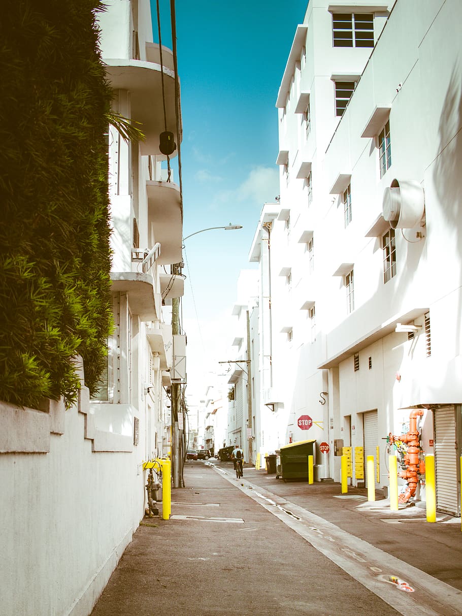 pathway between white concrete building, walkway, town, road HD wallpaper