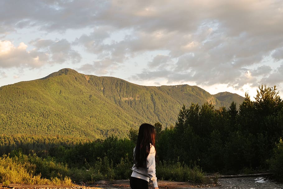 canada, chilliwack, green, trees, summer, river, mountains HD wallpaper