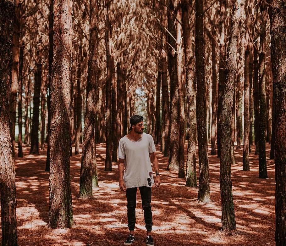 Man Wearing White Shirt, environment, forest, park, person, trees HD wallpaper