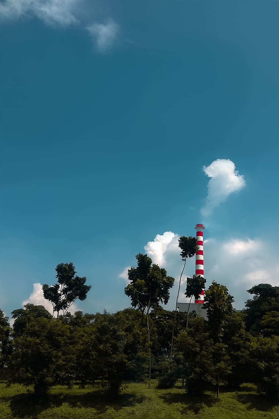 indonesia, blue sky, building, tree, plant, cloud - sky, nature HD wallpaper