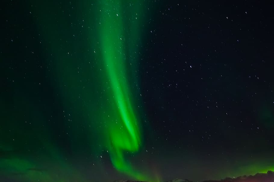 green aurora lights, green color, night, sky, beauty in nature HD wallpaper