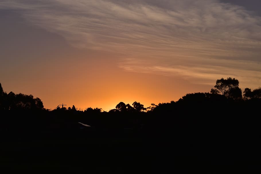 sunset, clouds, sky, trees, silhouette, beauty in nature, plant HD wallpaper