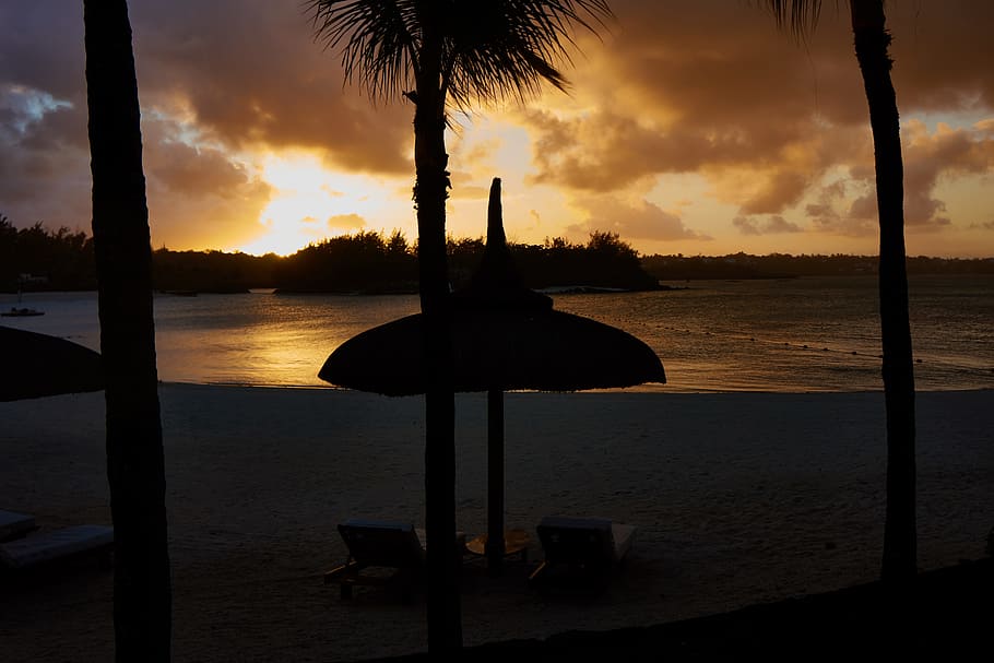 Silhouette of Parasol and Palm Trees Near Seashore, beach, clouds HD wallpaper