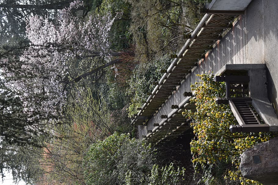 bridge between trees during daylight, outdoors, garden, arbour HD wallpaper