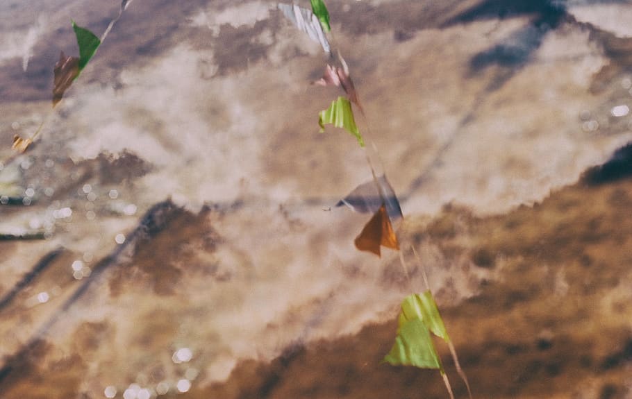 sky, water, reflection, flags, texture, clouds, animal, no people HD wallpaper