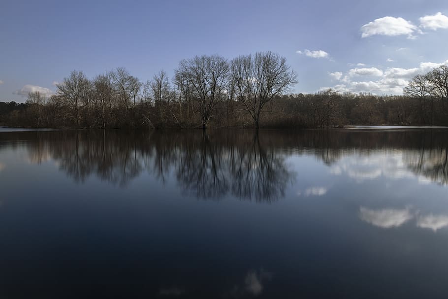 nature, trees, water, forest, landscape, sky, blue, sun, environment HD wallpaper