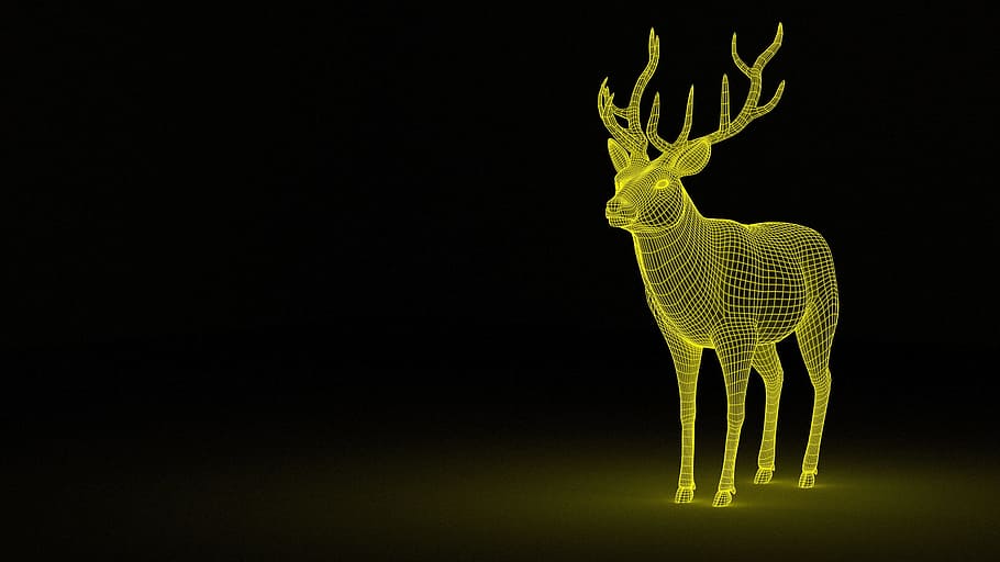 Graphical Representation of a Deer, 3-d, 3d, Animal, computer graphics, HD wallpaper
