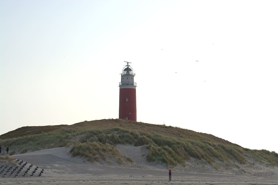 lighthouse, texel, beach, netherlands, north sea, holland, nature HD wallpaper