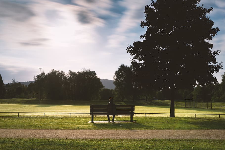 germany, tree, sky, clouds, grass, bench, lonely, sitting, park HD wallpaper