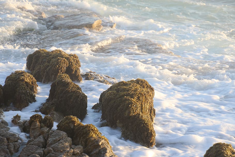 Rock Formation Near Body of Water, background, beach, beautiful HD wallpaper