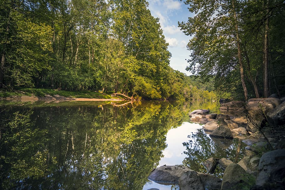 river surrounded by trees during daytime, water, outdoors, land HD wallpaper