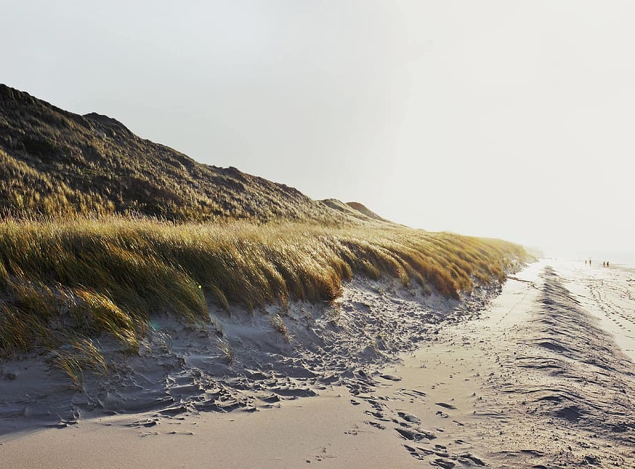 germany, sylt, beach, sun, sunlight, sunset, sunshine, sea, HD wallpaper