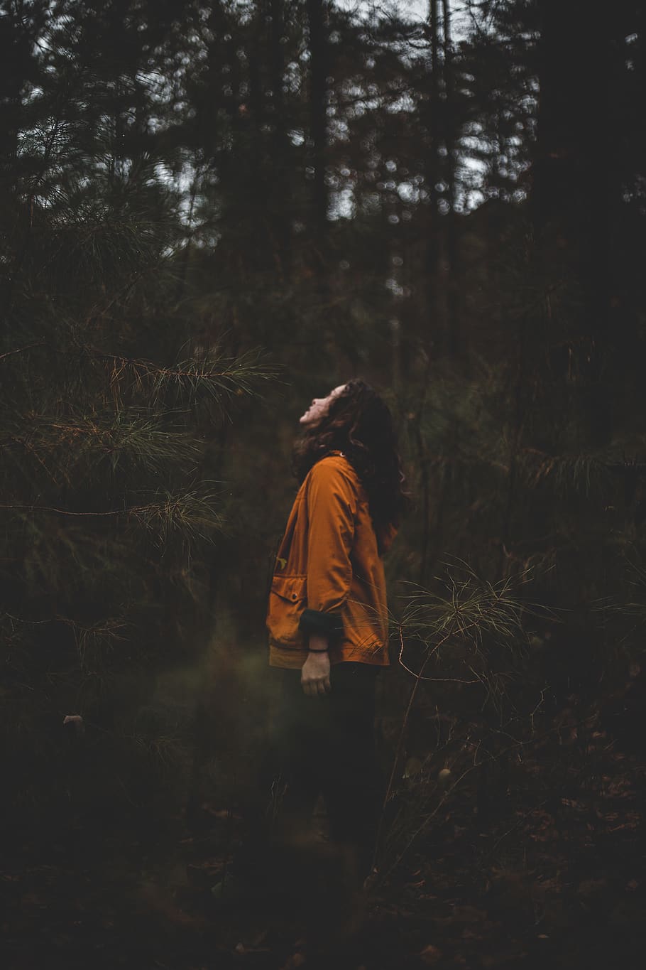 woman standing under tree, plant, land, forest, one person, clothing HD wallpaper
