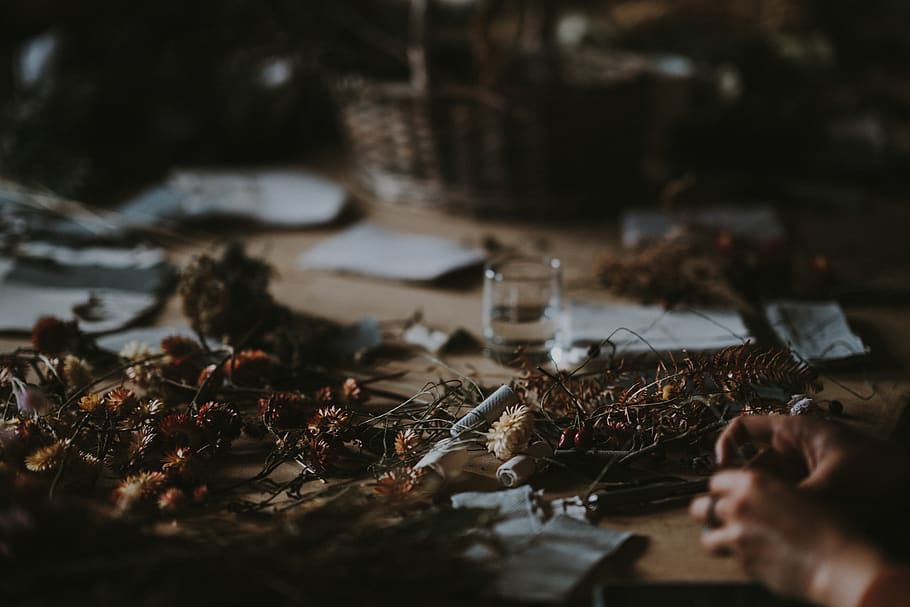 brown leaves on table, animal, invertebrate, insect, human, person HD wallpaper