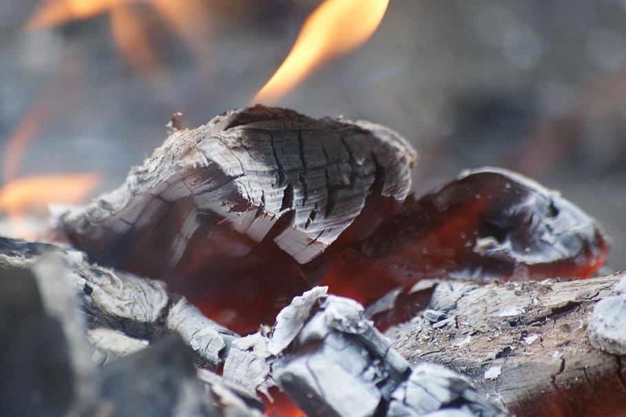 flames, bonfire, glows, brand, campfire, heat, burn, hot, burning HD wallpaper