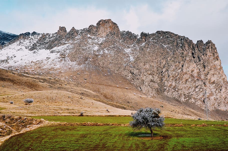 Mountains Near Trees, beautiful, environment, landscape, nature HD wallpaper