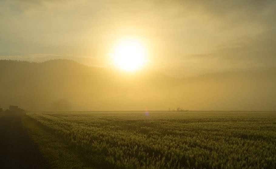 germany, rugendorf, light, bright, up, hills, trees, morning HD wallpaper
