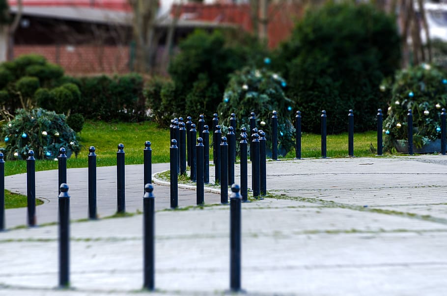 city, architecture, element, leader, in a row, plant, tree HD wallpaper