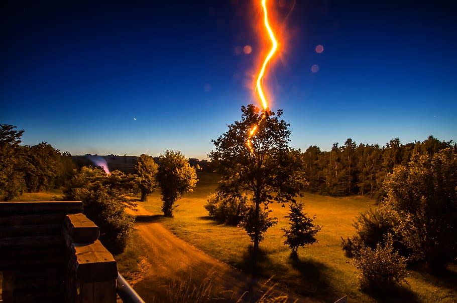 Lightning Strikes Tree in Front of House during Nighttime, bright HD wallpaper