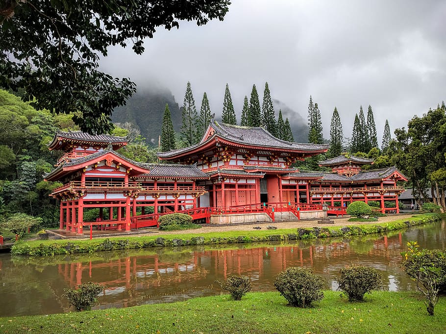 temple, building, red, tree, plant, built structure, architecture HD wallpaper
