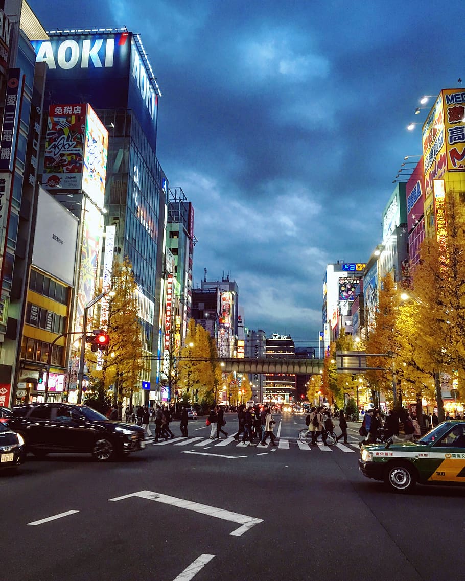 japan, akihabara, taito, people, lights, city, crossing, taxi