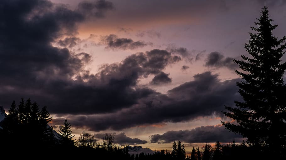 canada, canmore, cloud, clouds, trees, landscape, sky, mountain HD wallpaper