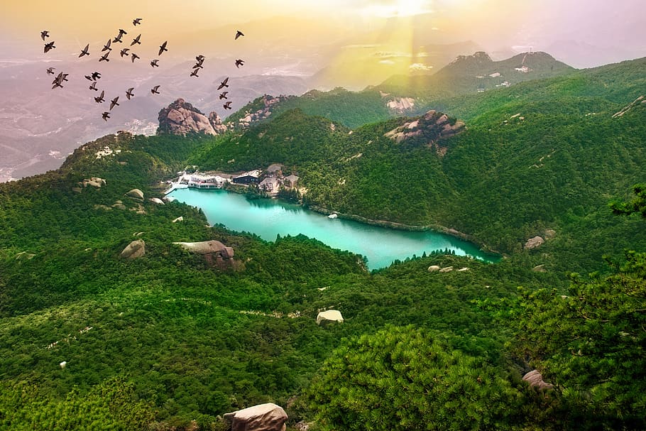 mountain, sun, landscape, lake, pigeon, green, nature, pics, HD wallpaper