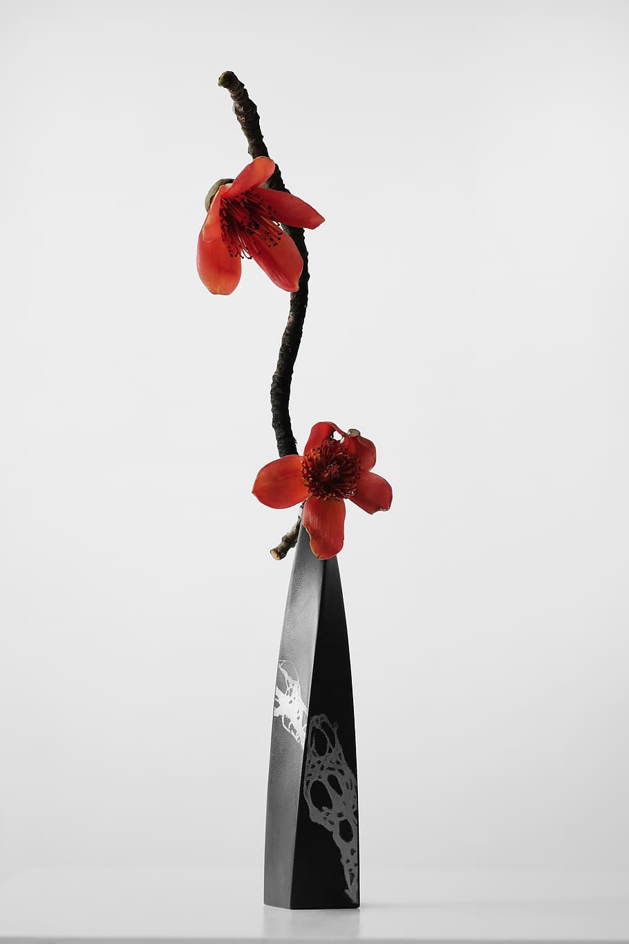 studio shot, indoors, red, white background, no people, still life HD wallpaper