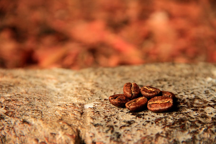 coffee, toasted, caffeine, stimulating, aroma, drink, aromatic HD wallpaper