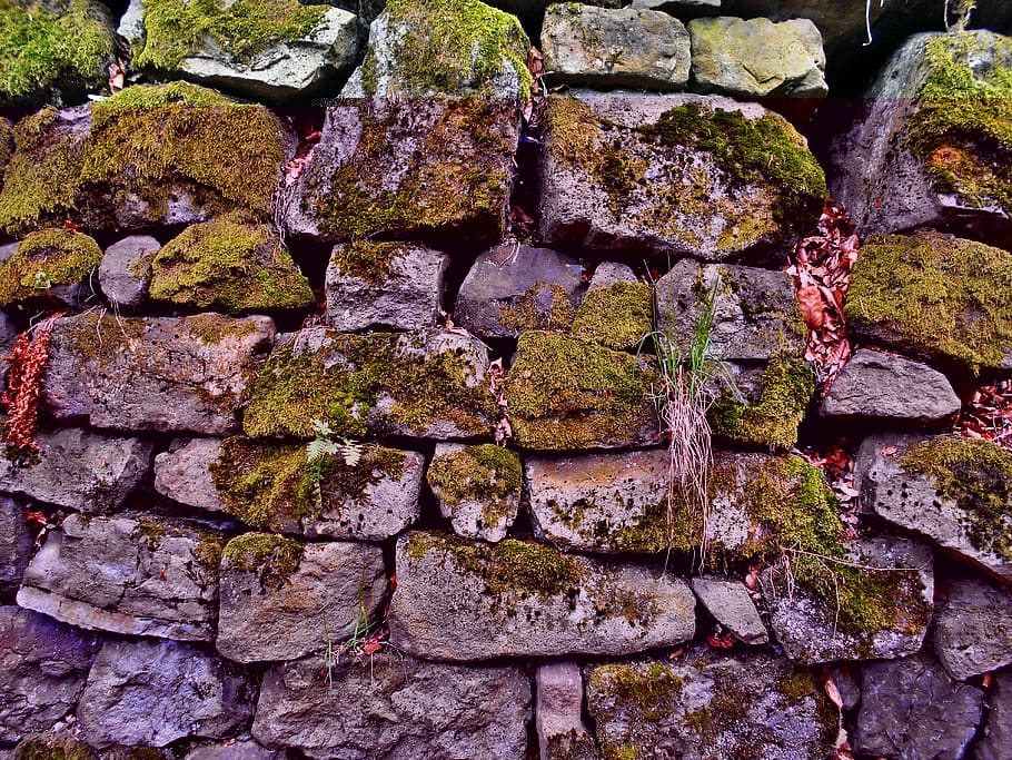 stone wall, lake dusia, moss, the stones, old, mossy, forest, HD wallpaper