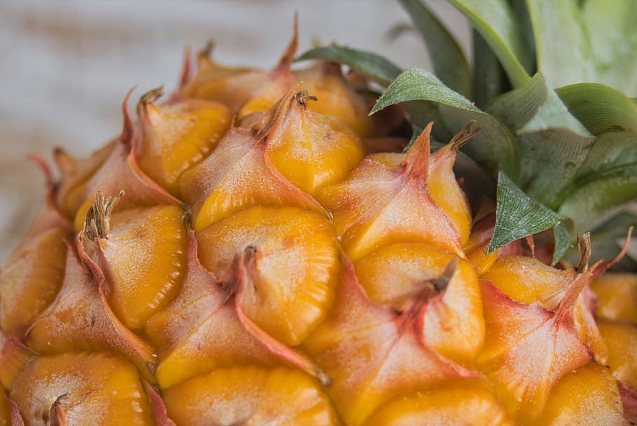 pineapple, fruit, food, meal, nutrition, dessert, juicy, mature HD wallpaper