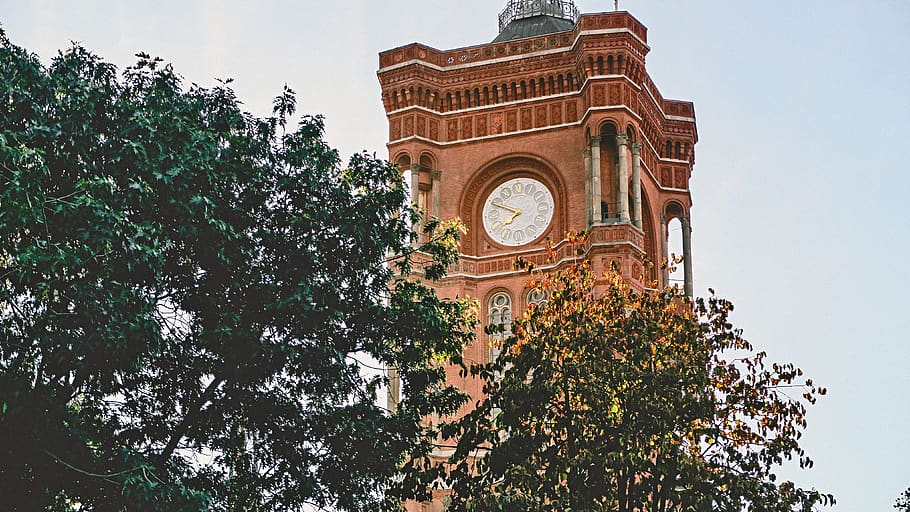 Clock Tower Near Trees at Daytime Photo, ancient, architecture HD wallpaper