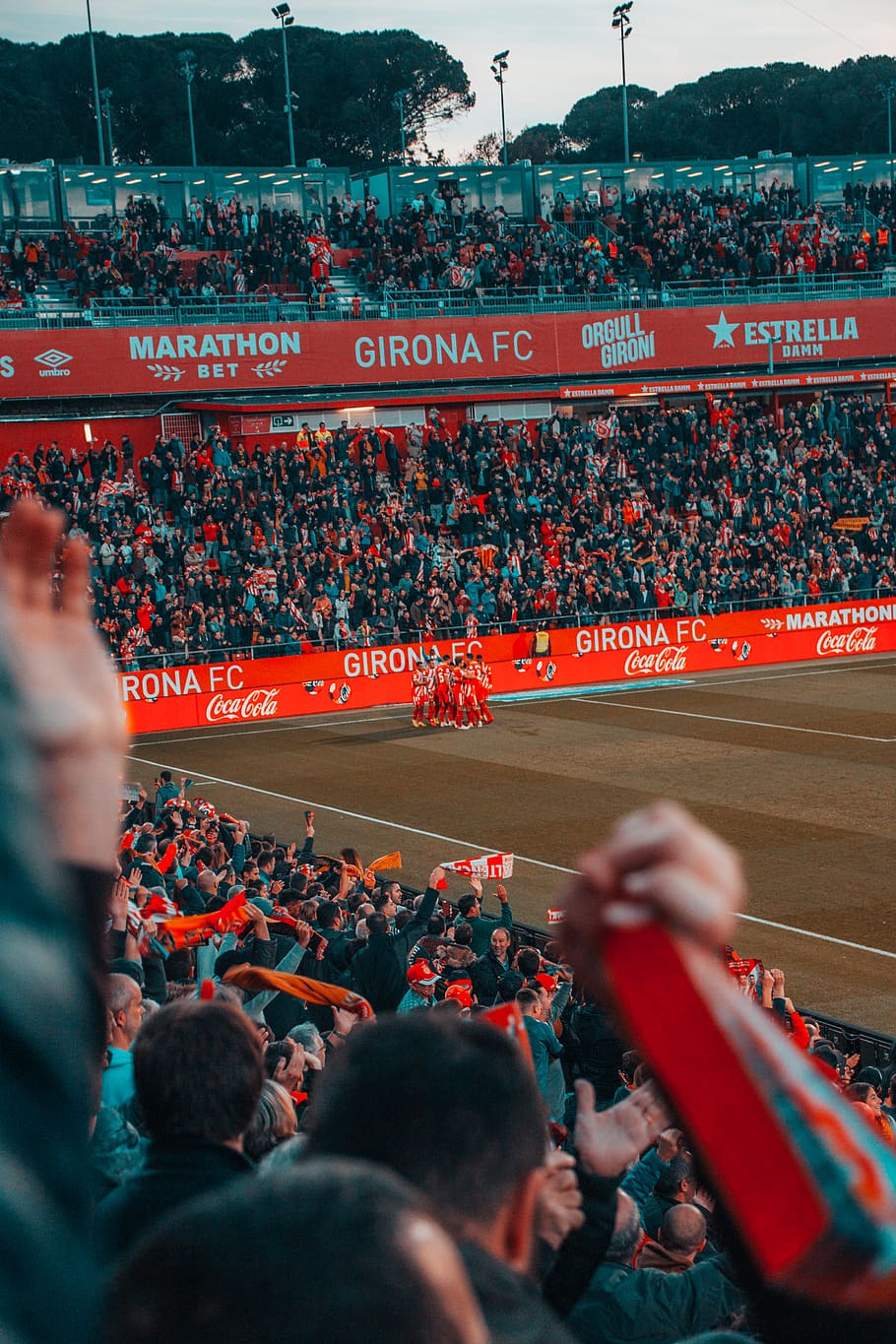 Athletic victory 1080P, 2K, 4K, 5K HD wallpapers free download - Wallpaper Flare