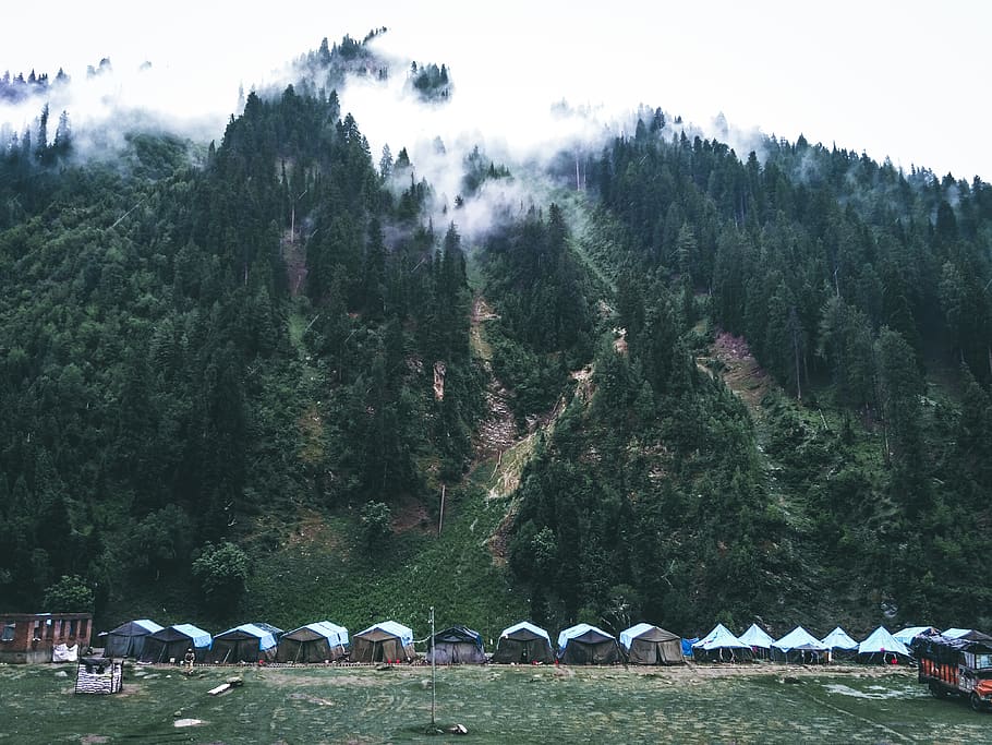 Foggy Mountain, camping, environment, landscape, recreation, tents HD wallpaper