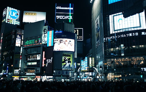 madness, overload, sensory, advertisement, japan, tokyo, shibuya HD wallpaper