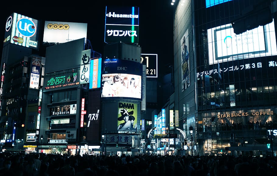madness, overload, sensory, advertisement, japan, tokyo, shibuya HD wallpaper