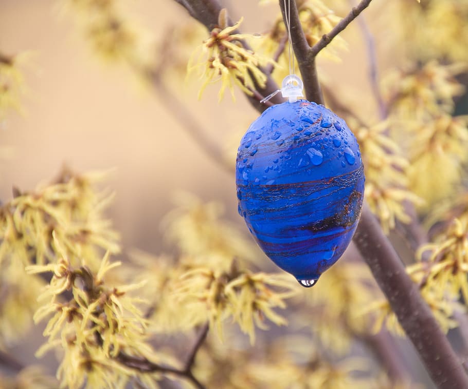 easter, easter egg, wet, rain, bush, season, nature, hang, blue HD wallpaper