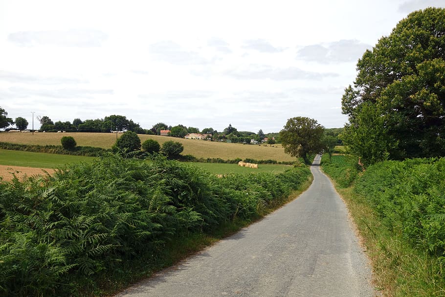 france, vendée, road, plant, tree, landscape, sky, field, growth HD wallpaper