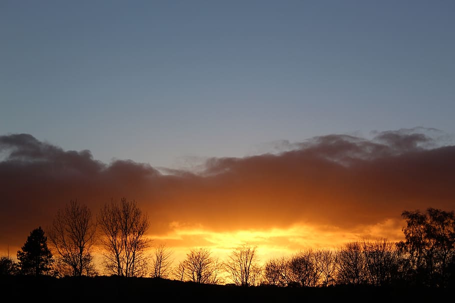 sunset, happy, dom, dusk, trees, nature, sky, beauty in nature HD wallpaper