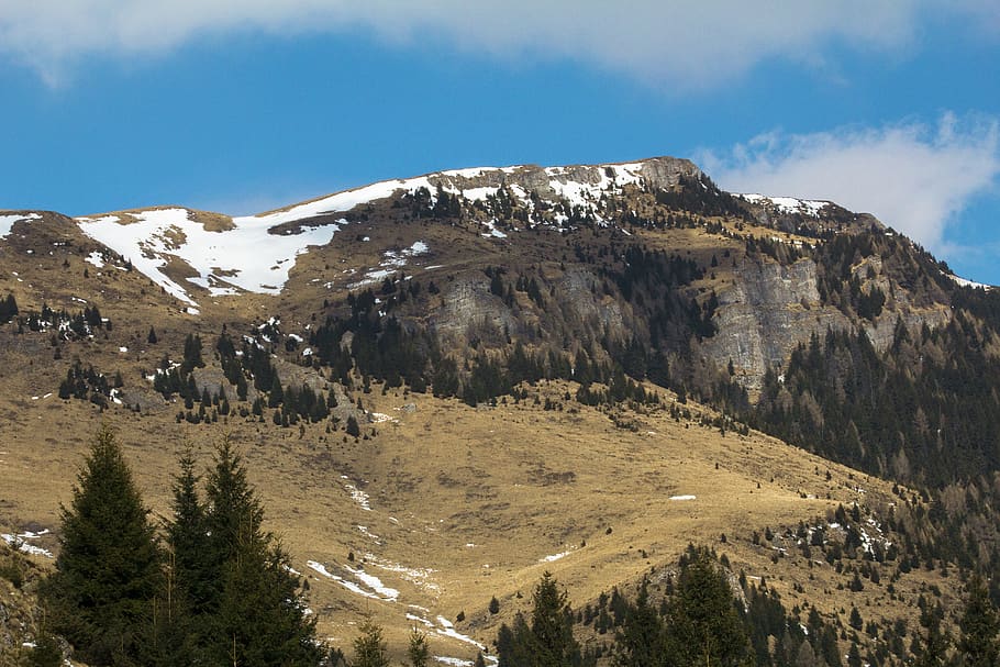 mountains, trees, snow, sun, yellow, brown, white, black, green HD wallpaper