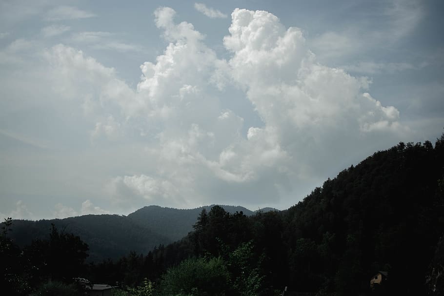 nature, weather, outdoors, cloud, sky, cumulus, tree, plant HD wallpaper