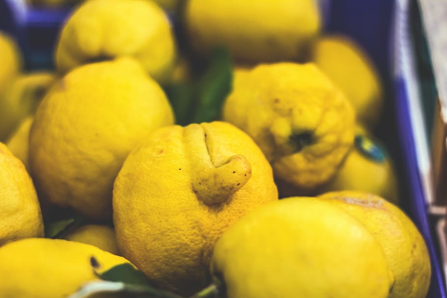 limone, lemons, citrus, garden, orto, yellow, giallo, minimalism, HD wallpaper