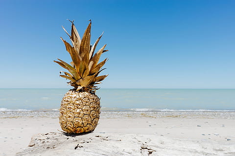 pineapple, dessert, appetizer, fruit, juice, crop, beach, ocean HD wallpaper