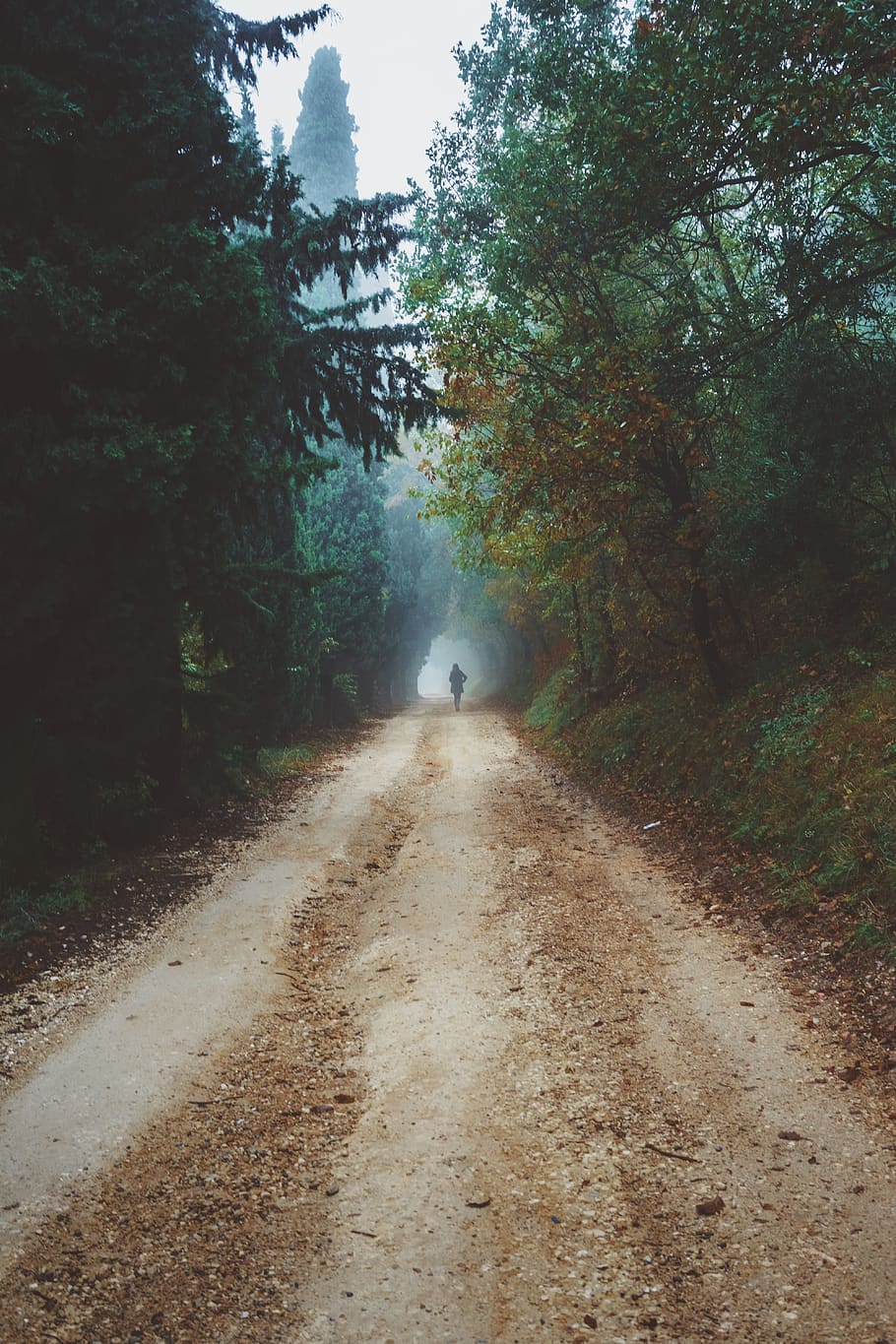 green, leafe, winter, road, fall, autumn, girl, person, haze HD wallpaper